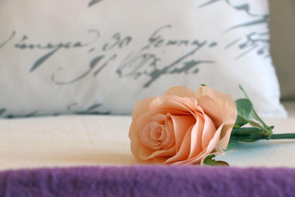 Blue Rose Apartment Трогир Екстериор снимка